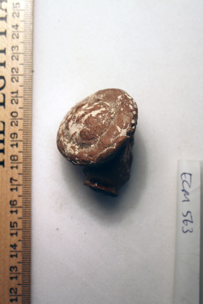 ECM.563-2010-D image ECM.563-2010-D