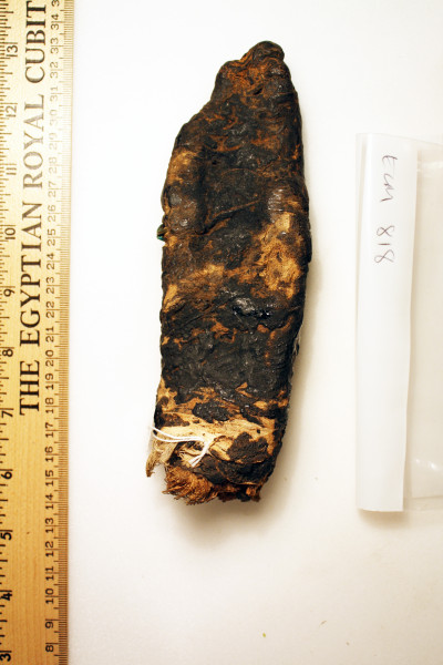 ECM.818-2010-B image ECM.818-2010-B