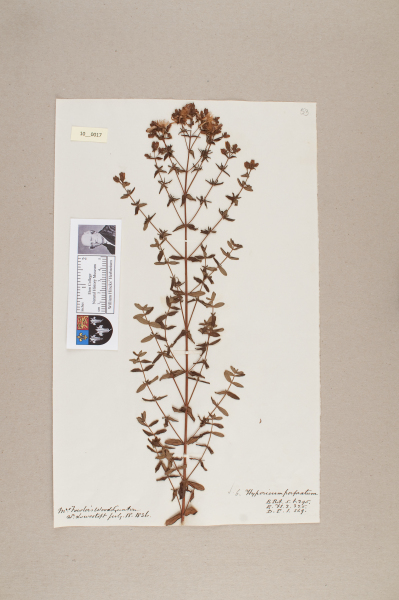 NHM_HH_10.17-2010 image NHM_HH_10.17-2010