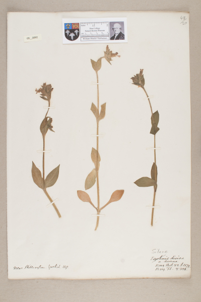 NHM_HH_9.92-2010 image NHM_HH_9.92-2010