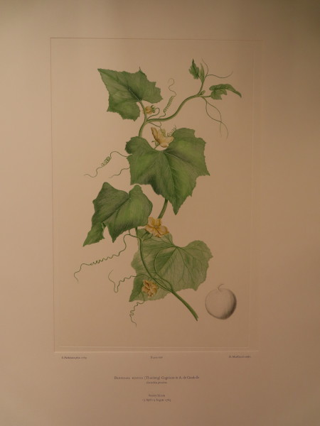 image FDA-E.2916_28_25-2016