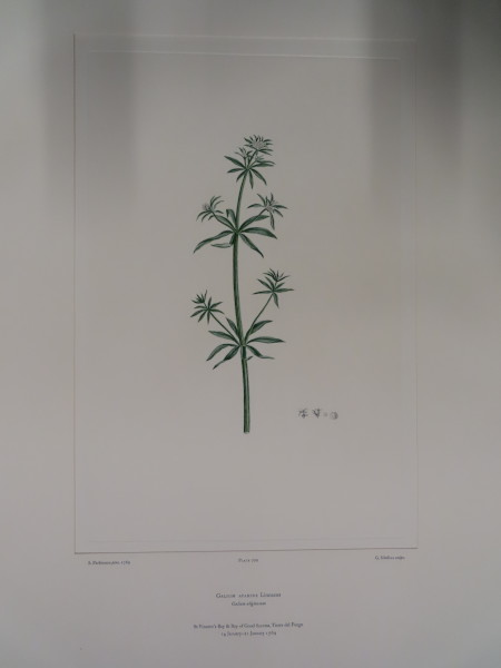 image FDA-E.2916_33_9-2016-A