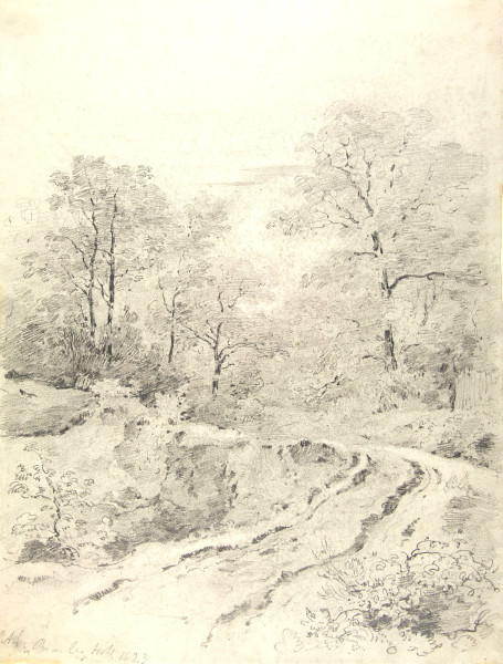 FDA-D.343-2010 image FDA-D.343-2010