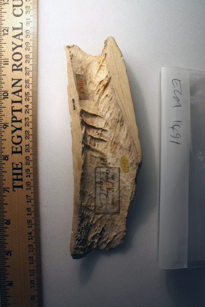 ECM.1491-2010-B image ECM.1491-2010-B