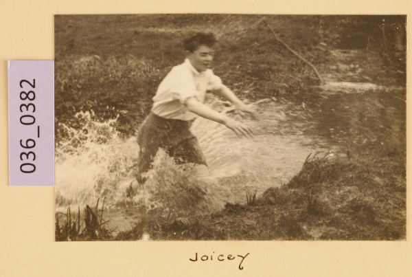 PA-A.36_382-2012 image PA-A.36_382-2012