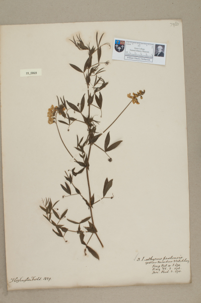 NHM_HH_15.69-2010 image NHM_HH_15.69-2010