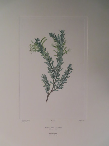 image FDA-E.2916_9_14-2016-A