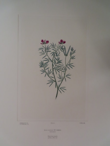 image FDA-E.2916_3_15-2016-A