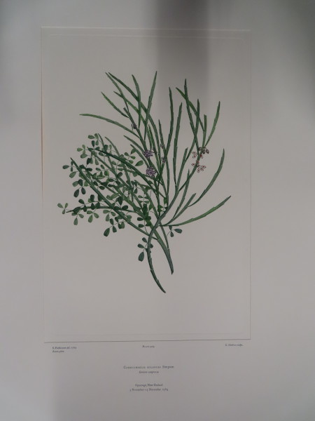 image FDA-E.2916_21_9-2016