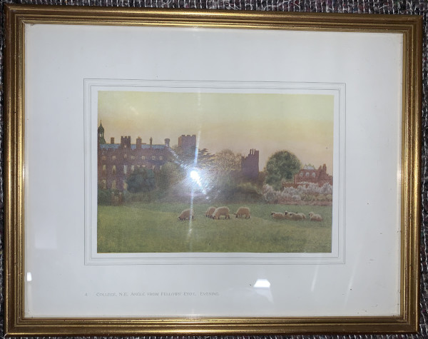 FDA-E.3173_4-2020 image FDA-E.3173_4-2020