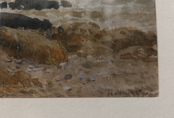 FDA-D.1699-2023-B image FDA-D.1699-2023-B