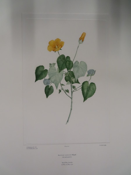 FDA-E.2916_1_25-2016 image FDA-E.2916_1_25-2016