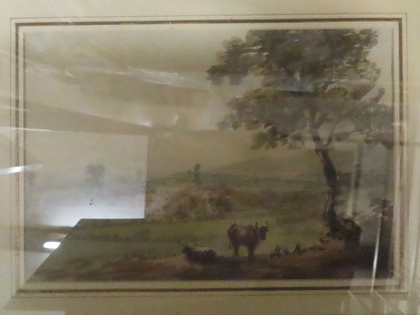 FDA-D.1661-2021 image FDA-D.1661-2021