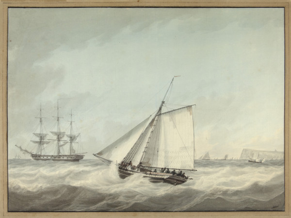 FDA-D.84-2010 image FDA-D.84-2010