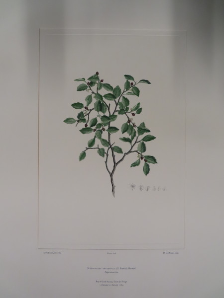 image FDA-E.2916_34_15-2016