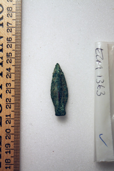 ECM.1363-2010-B image ECM.1363-2010-B