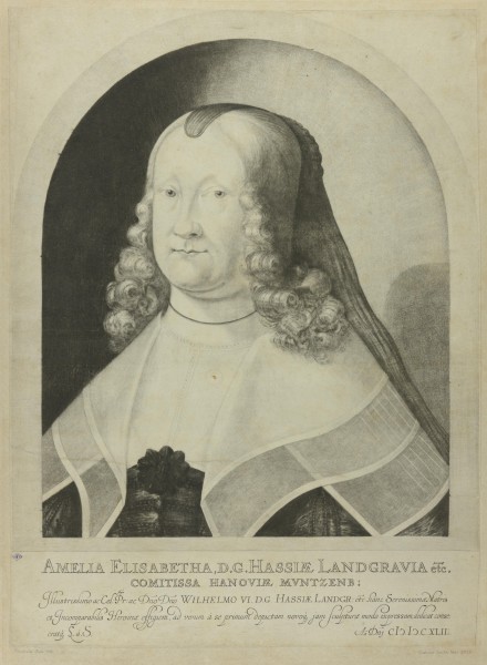 FDA-E.381-2010 image FDA-E.381-2010