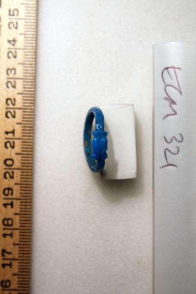 ECM.321-2010-A image ECM.321-2010-A