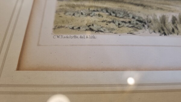 FDA-E.3315-2025-D image FDA-E.3315-2025-D