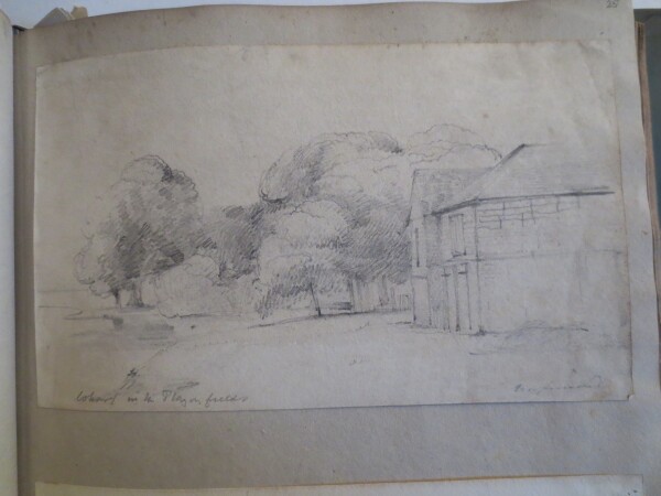 FDA-V.8-2016-AP image FDA-V.8-2016-AP