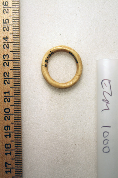 ECM.1000-2010-B image ECM.1000-2010-B