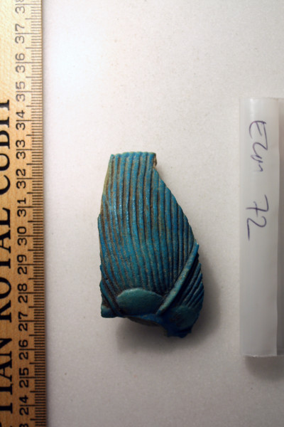 ECM.72-2010-A image ECM.72-2010-A