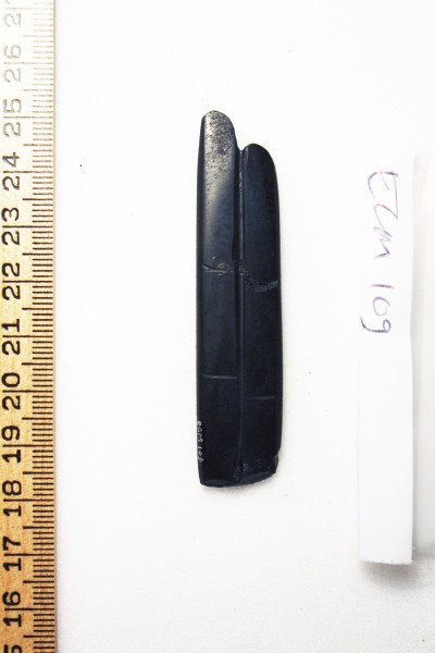 ECM.109-2010-A image ECM.109-2010-A