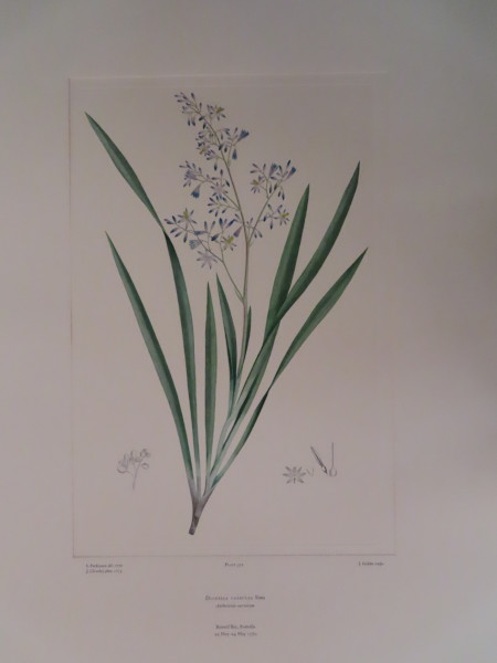 image FDA-E.2916_15_10-2016