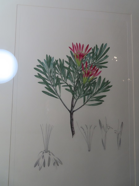 FDA-E.2916_13_9-2016-A image FDA-E.2916_13_9-2016-A