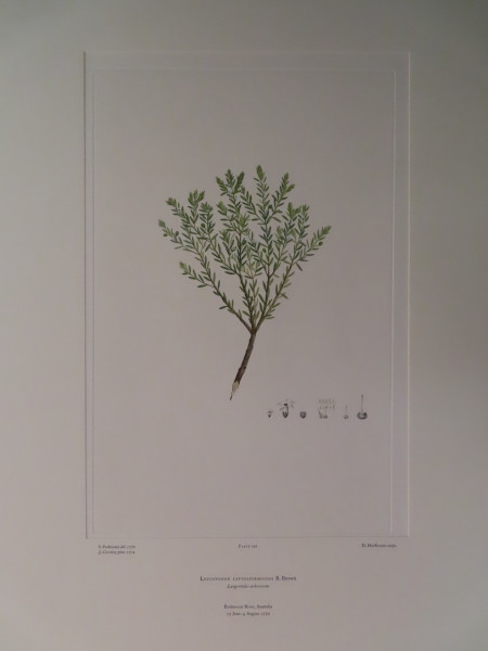 FDA-E.2916_9_19-2016-A image FDA-E.2916_9_19-2016-A