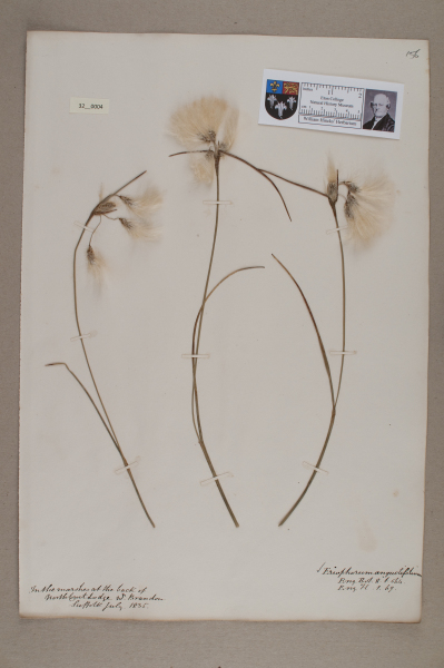 NHM_HH_32.4-2010 image NHM_HH_32.4-2010