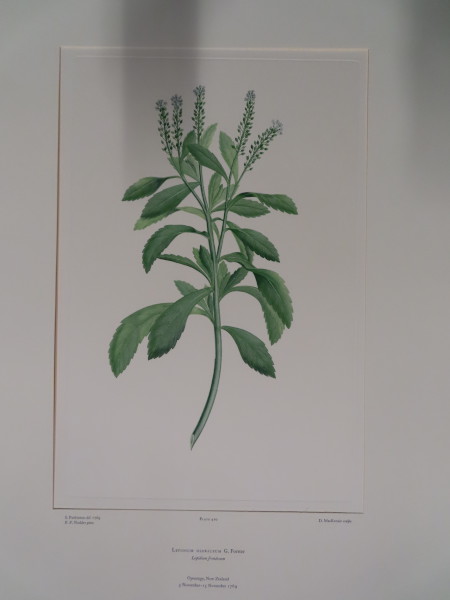 image FDA-E.2916_20_12-2016-A