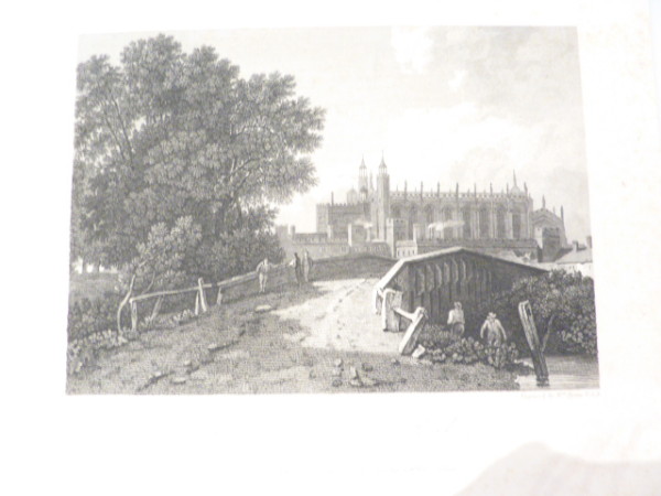 FDA-E.2383-2015 image FDA-E.2383-2015