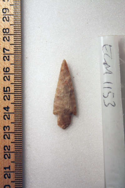 ECM.1153-2010-A image ECM.1153-2010-A