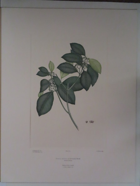 FDA-E.2916_5_17-2016-A image FDA-E.2916_5_17-2016-A