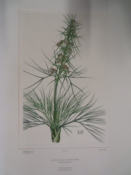 image FDA-E.2916_22_14-2016-A