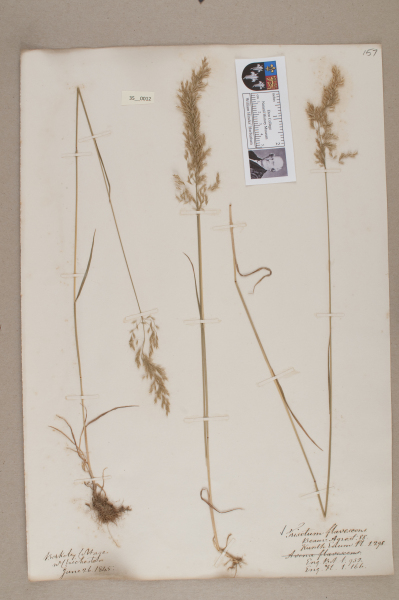 NHM_HH_35.12-2010 image NHM_HH_35.12-2010