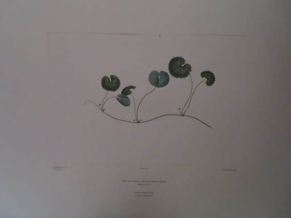 FDA-E.2916_7_4-2016 image FDA-E.2916_7_4-2016