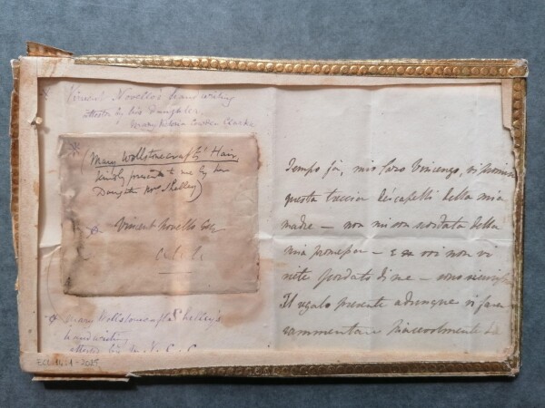 ECL.14_1-2025-B image ECL.14_1-2025-B