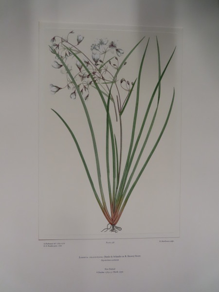 image FDA-E.2916_26_21-2016