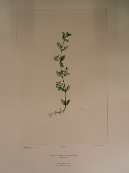 FDA-E.2916_30_12-2016 image FDA-E.2916_30_12-2016