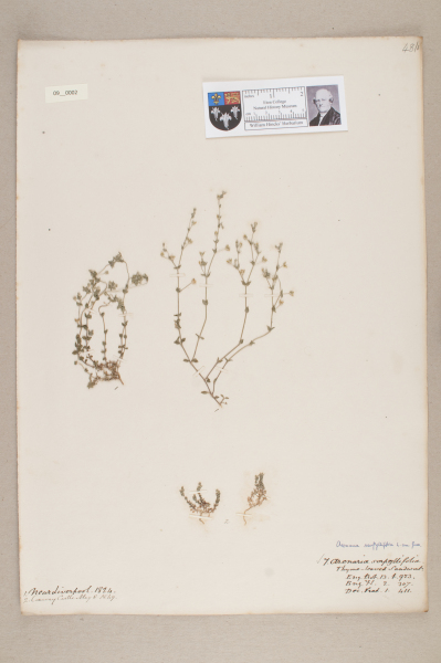 NHM_HH_9.2-2010 image NHM_HH_9.2-2010