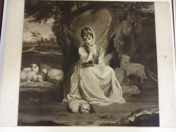 FDA-E.384-2010 image FDA-E.384-2010