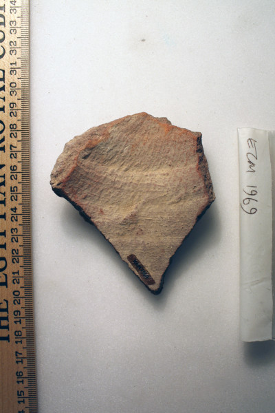 ECM.1969-2010-B image ECM.1969-2010-B