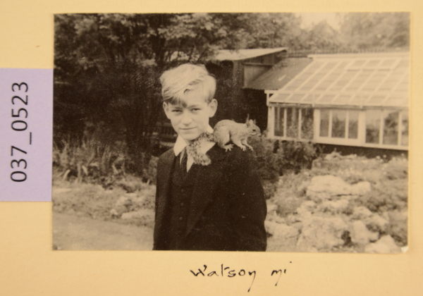 PA-A.37_523-2012 image PA-A.37_523-2012