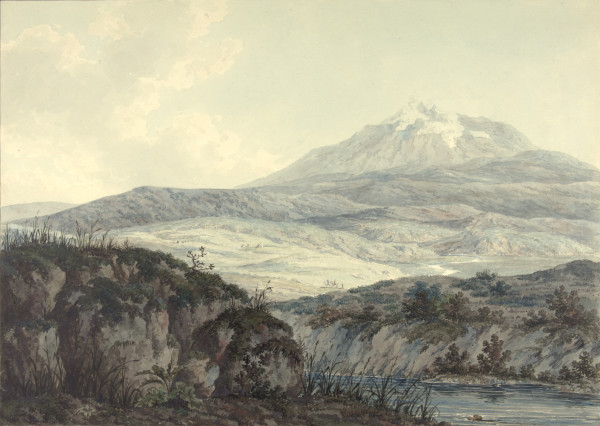 FDA-D.183-2010 image FDA-D.183-2010