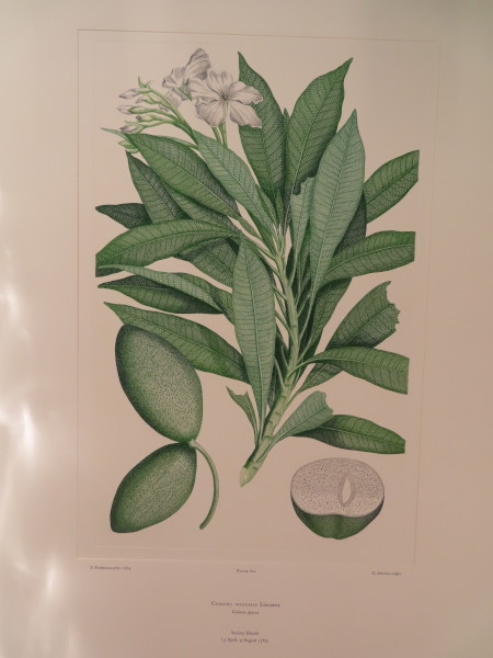 image FDA-E.2916_29_19-2016-A