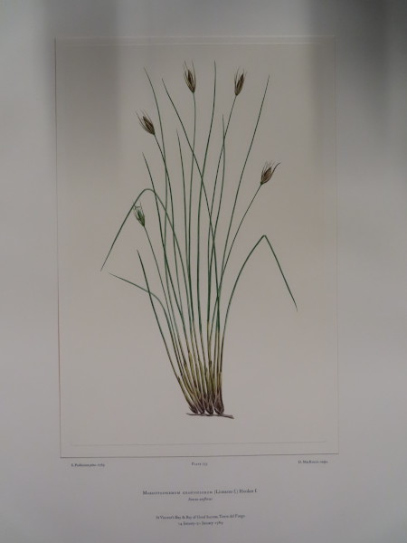 image FDA-E.2916_34_22-2016