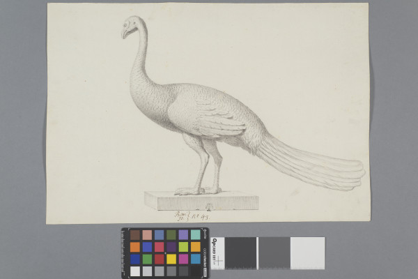 ECL-Bm.10_43-2013-A image ECL-Bm.10_43-2013-A