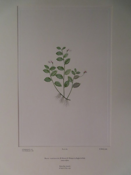 FDA-E.2916_9_12-2016 image FDA-E.2916_9_12-2016